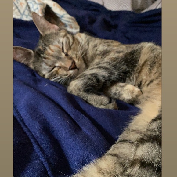 Meet your Posher, Mark - Picture 1 of 1